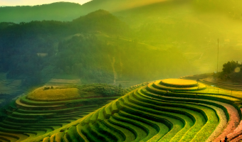 Stepped green hills for farming
