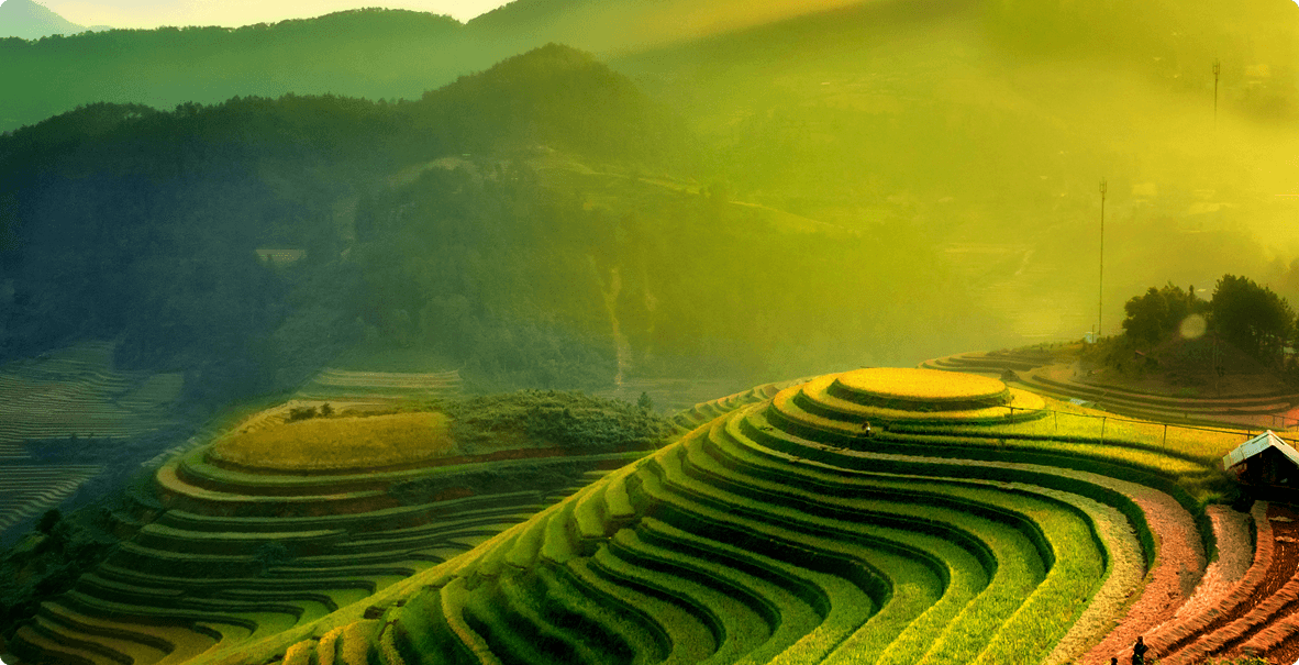 Stepped green hills for farming