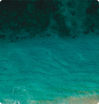 Green water