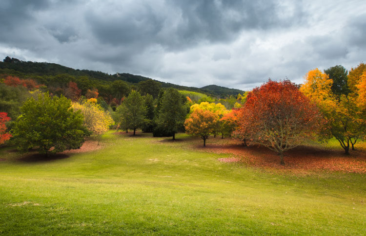australia-autumn