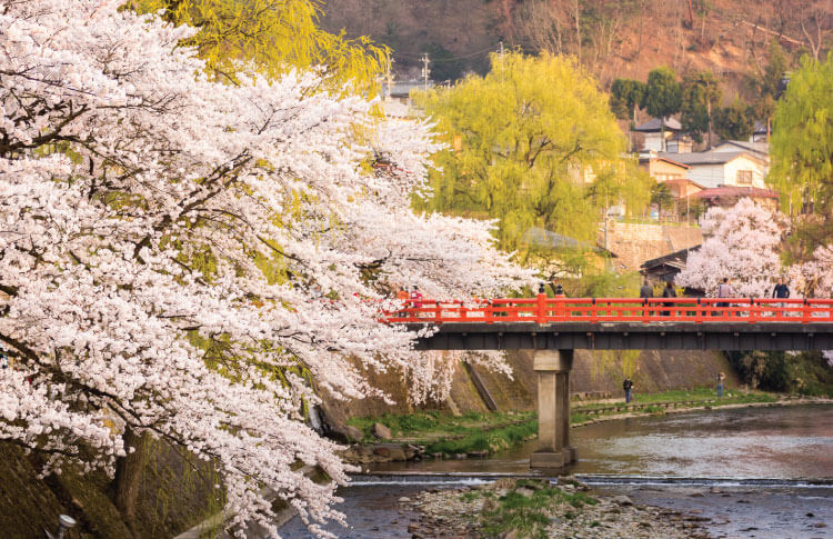 Shinkansen Bullet Train, Limited Express Hida Wideview – Japan