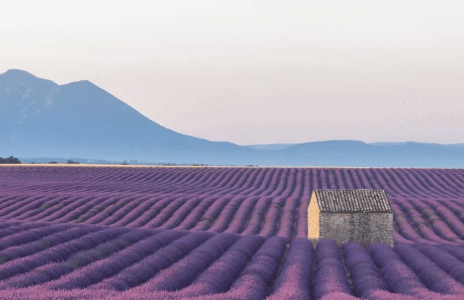 Insight Vacations June Offer