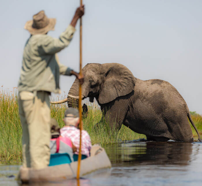 Exiting the Okavango Delta in Botswana by mokoro