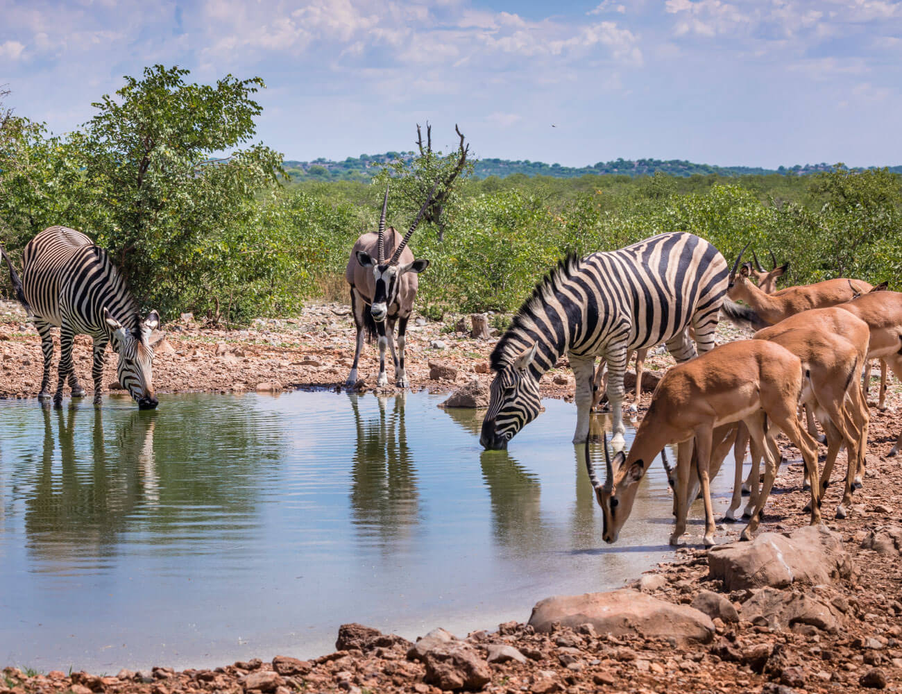 Etosha
