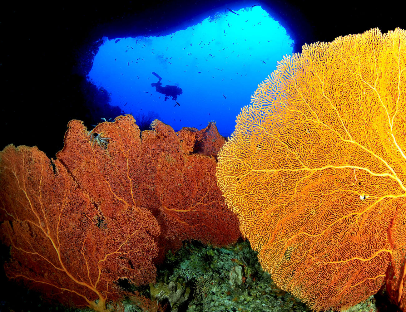 Palau-watersports