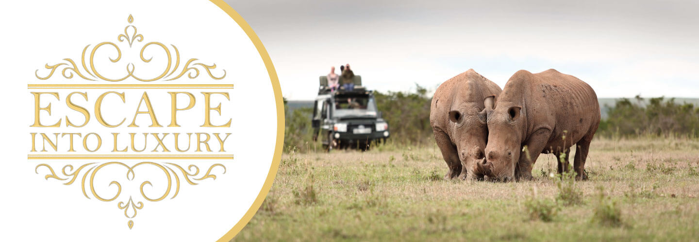 KENSINGTON TOURS: The Heart of Africa KENSINGTON TOURS: The Heart of Africa